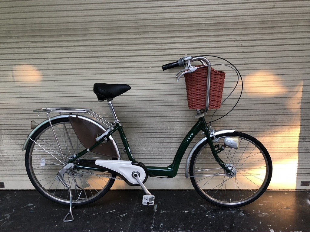 Xe đạp MINI BRIGESTONE Nhật